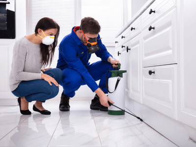 About Green Level Mosquito Fogging - mosquito fogging experts in Green Level