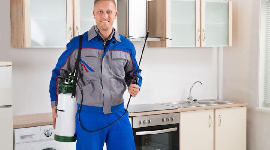 Professional mosquito fogging services in Green Level - Green Level Mosquito Fogging